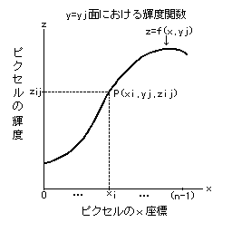 y=yjにおける輝度関数